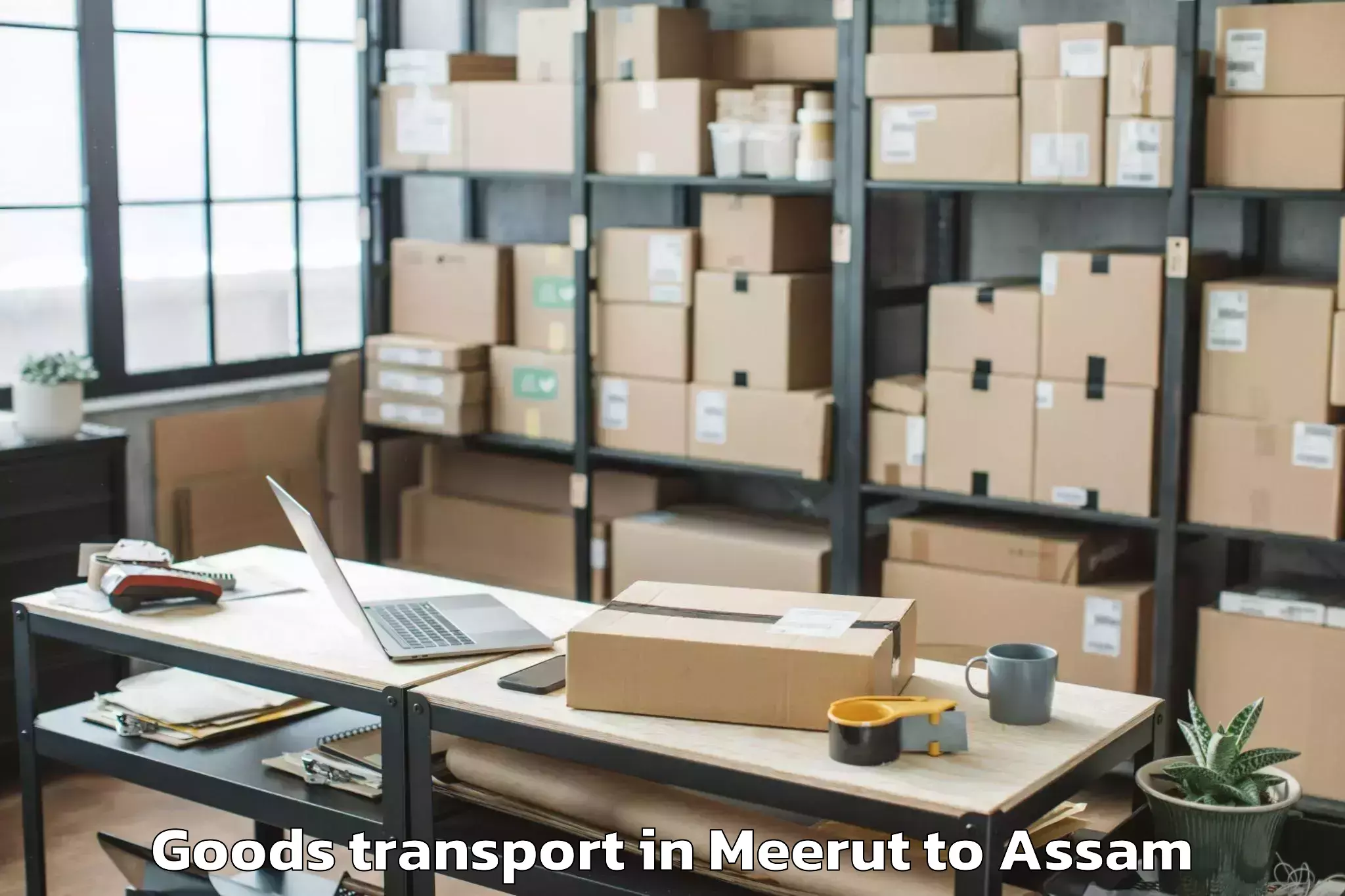 Discover Meerut to Balipara Goods Transport